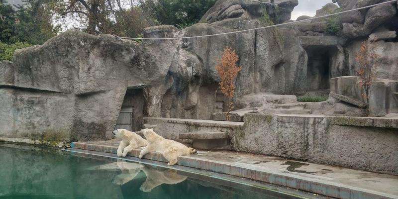 Ogród Zoologiczny i Botaniczny