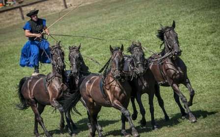 Z Budapesztu: Puszta Horse Show i wizyta na wsi