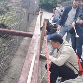 Budapeszt: Transport i wycieczka z przewodnikiem do sanktuarium niedźwiedzi i wilków