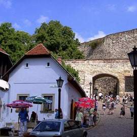 Eger, ojczyzna Bull's Bood, prywatna wycieczka z degustacją wina