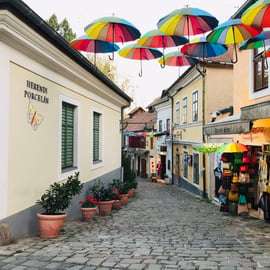 Z Budapesztu: Wycieczka do wioski artystów Szentendre